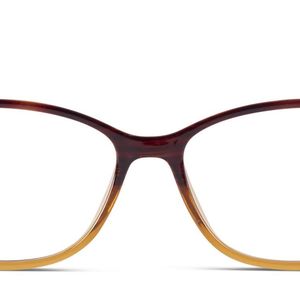 Amelia E. Black Nettle