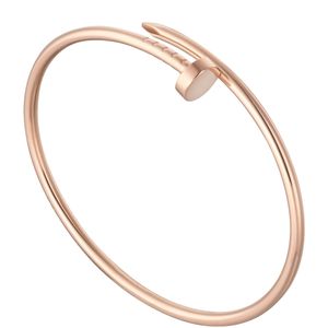 Cartier Metallic Small Juste Un Clou Bracelet