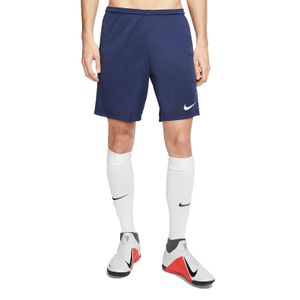 Nike Blue Dry Park Lll Shorts for men