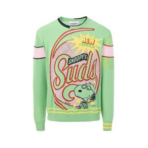 Iceberg Green Round-Neck Knitwear for men