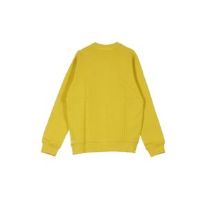 Dickies Sweatshirt 02200072 in het Geel voor heren