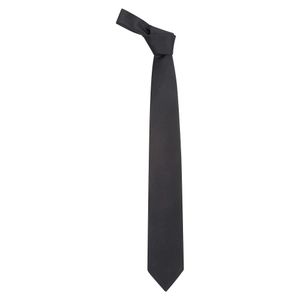 Lardini Black Ties for men