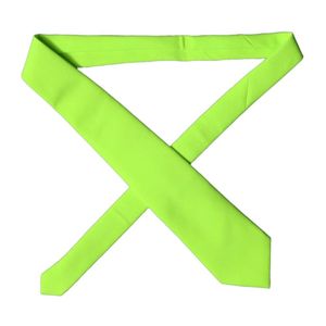 Dolce & Gabbana Green Ties