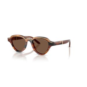 Emporio Armani Brown Sunglasses for men