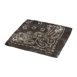 Golden Goose Deluxe Brand Brown Silk Scarves