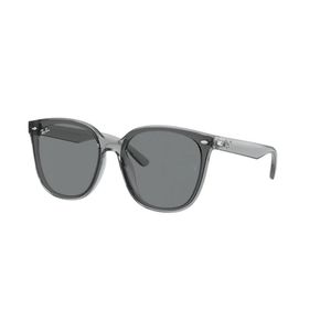 Ray-Ban Grey Sunglasses
