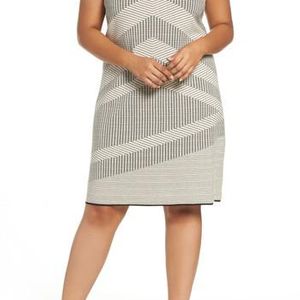 NIC+ZOE Grey Mantra Chevron Stripe Knit Sheath Dress