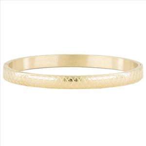 My Jewellery Gouden Armband Bangle Met Schubben in het Metallic