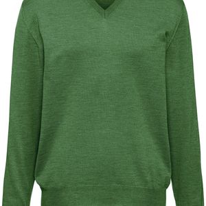 Le pull col v 100% laine vierge taille 48 Peter Hahn pour homme en coloris Vert