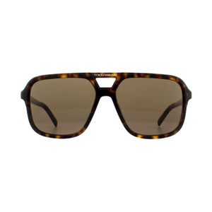 Dolce & Gabbana Brown Sunglasses Dg4354 502/73 Havana Gradient for men