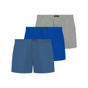 Lyle & Scott Blue And Temi 3Pk for men
