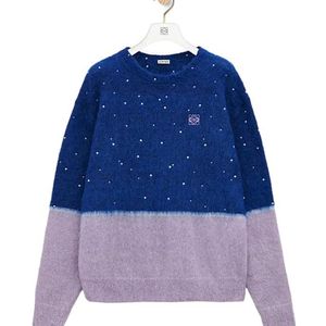 Loewe Blue Sweater