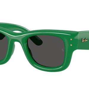 Ray-Ban Red Sunglass Wayfarer Puffer