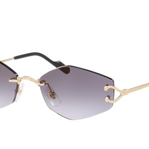 Cartier Black Sunglass Ct0620s