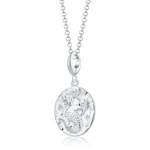 Lily Charmed Metallic Sterling Capricorn Zodiac Charm Necklace