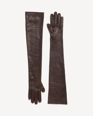Balenciaga Long Gloves - Brown