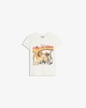 Bershka Madagascar Short Sleeve T-Shirt - White