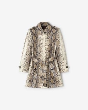 Burberry Short Python Print Coated Cotton Stonehaven Car Coat - Natural