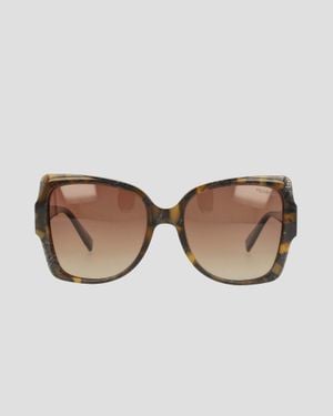 Champion Polarized Oversized Butterfly - Brown