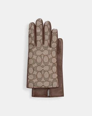 COACH Signature-Jacquard- Und Leder-Tech-Handschuhe Für Frauen - Braun