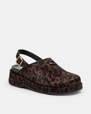 COACH Sculpted C Plateau Clog Mit Leoparden Print - Schwarz