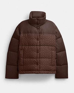 COACH Signature Down Jacket - Brown