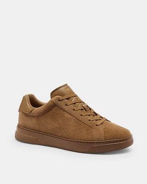 COACH High Line Trainer - Brown