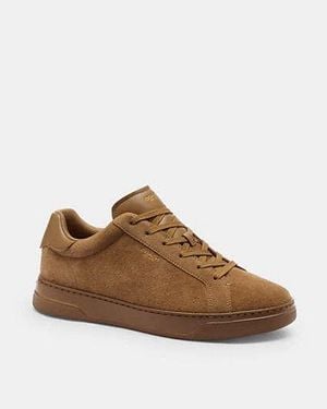 COACH Scarpa Da Ginnastica High Line - Marrone
