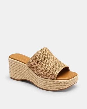 COACH Phoebe Platform Sandal - Black