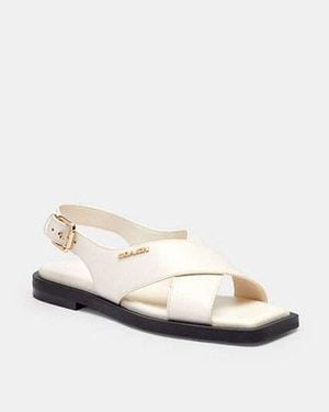 COACH Link Criss Cross Sandal - Black
