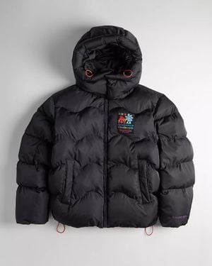 Coachtopia Topia Loop wattierte Steppjacke - Schwarz