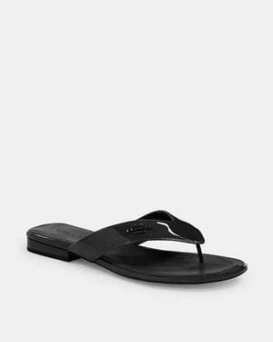 COACH Bridgette Sandal - Black