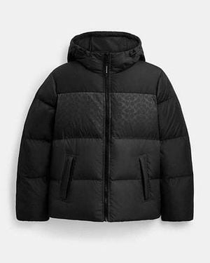 COACH Colourblock Down Jacket - Black