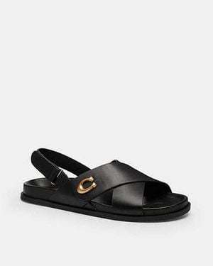 COACH Sculpted C Criss Cross Sandal - Black
