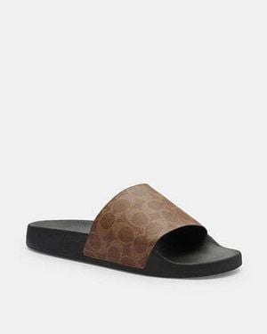 COACH Slide - Nero