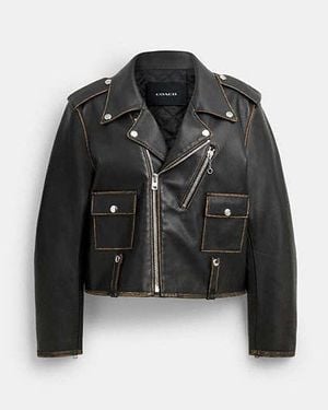 COACH Chaqueta Moto En, Talla Grande - Negro