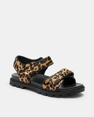 COACH Brynn Sandale Mit Leoparden Print - Schwarz