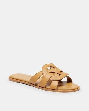 COACH Lena Slide Sandal - Black