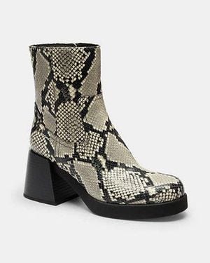 COACH Stivale Con Tacco A Blocco A Stampa Serpente - Nero