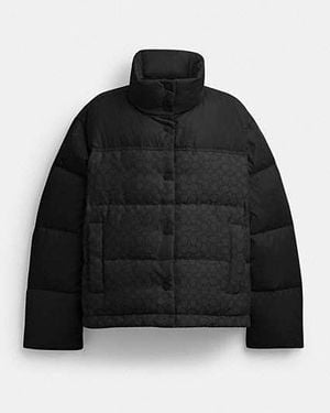 COACH Signature Down Jacket - Black