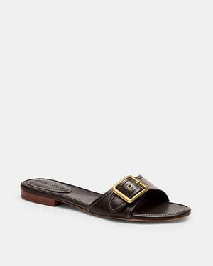 COACH Margot Flat Sandal - Black