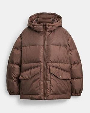 COACH Signature Hooded Puffer Jacket - Brown
