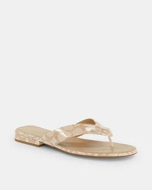 COACH Bridgette Sandal - Black