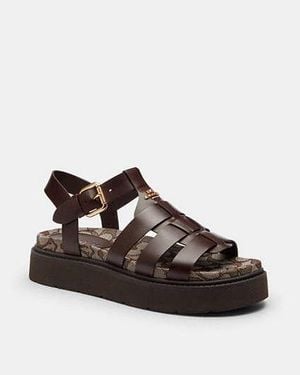 COACH Sandalia Lucy - Negro