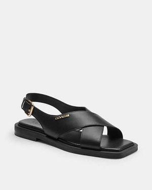 COACH Link Criss Cross Sandal - Black