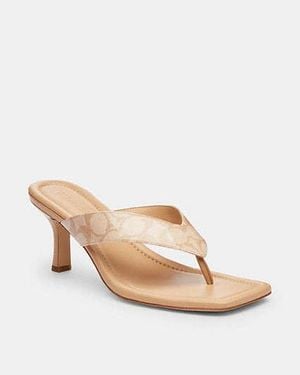 COACH Kitten Heel - Black
