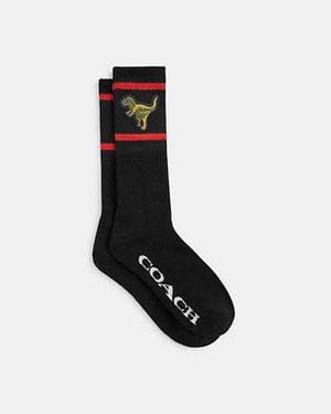 COACH Rexy Calf Socks - Black