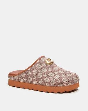 COACH Hadley Signature Jacquard Slipper - Brown