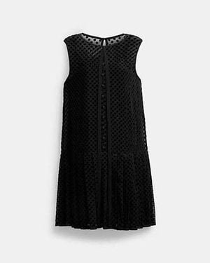 COACH Velvet Burnout Dress - Black