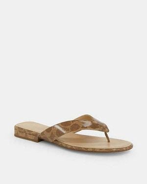 COACH Bridgette Sandal - Black